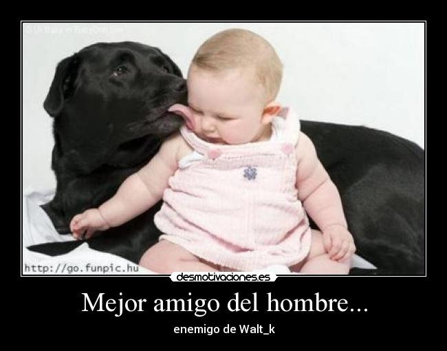Mejor amigo del hombre... -