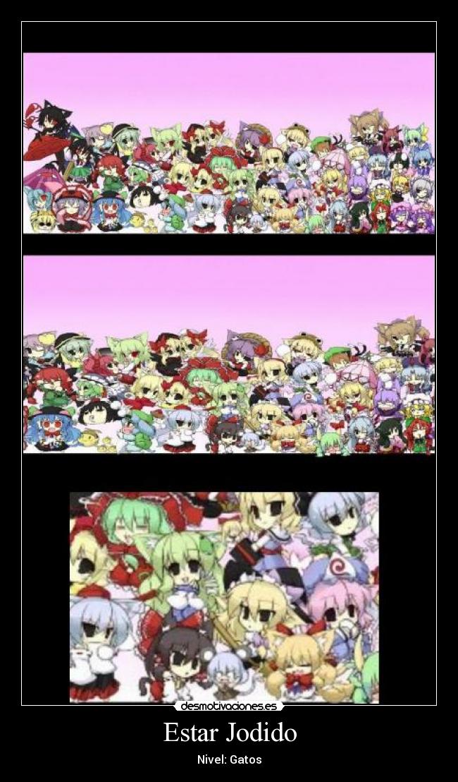 Estar Jodido - Nivel: Gatos