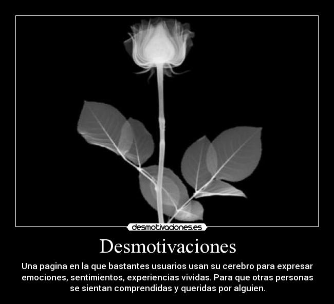 carteles desmotivaciones desmotivaciones desmotivaciones