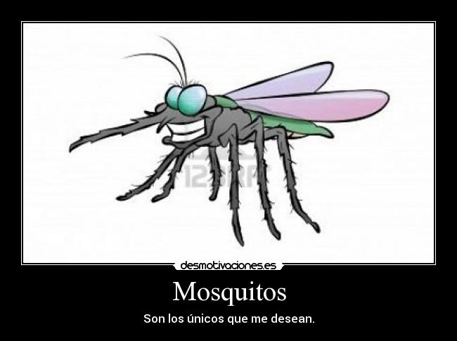 Mosquitos - Son los únicos que me desean.