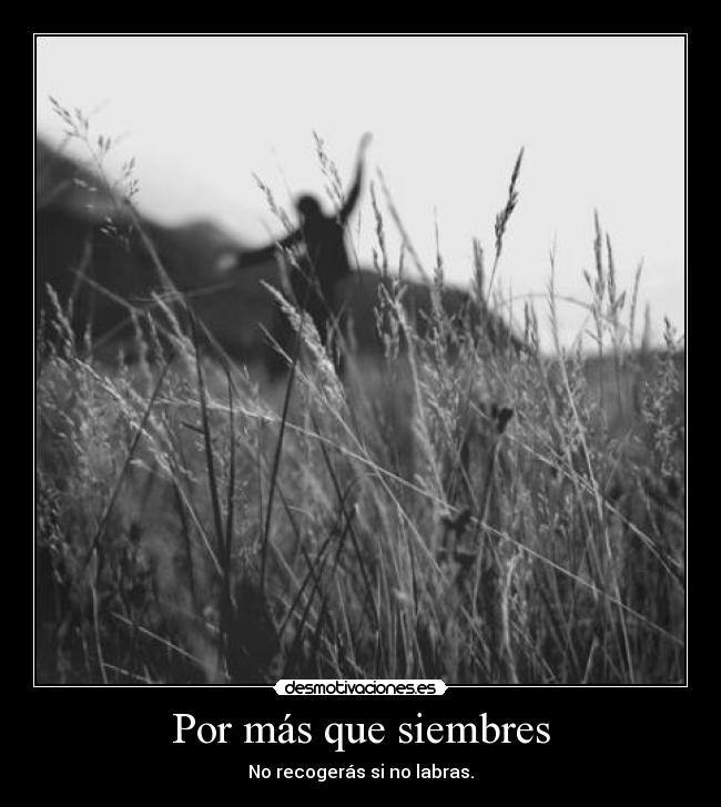 Por más que siembres - 