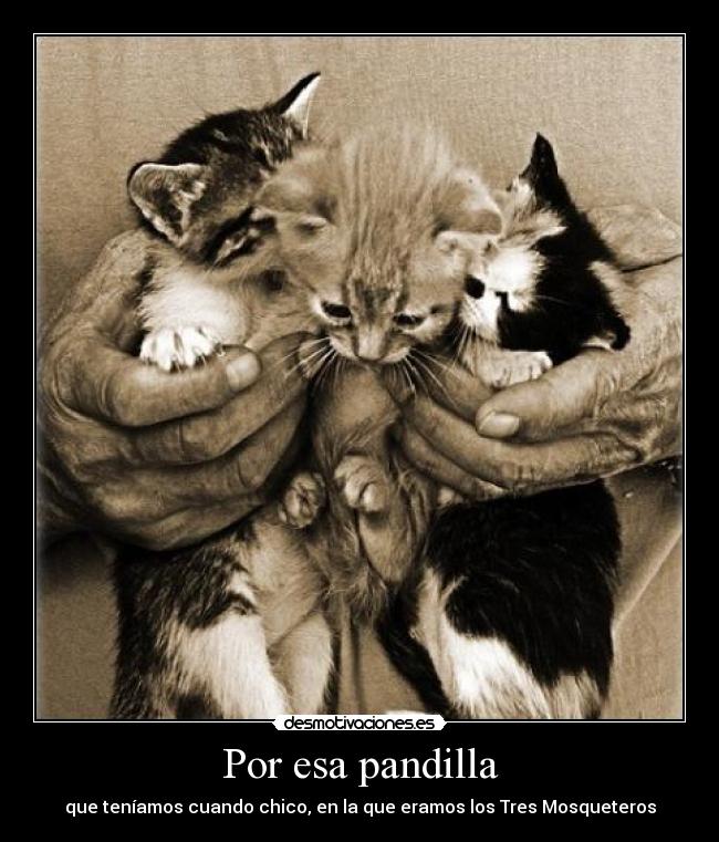 Por esa pandilla - que teníamos cuando chico, en la que eramos los Tres Mosqueteros