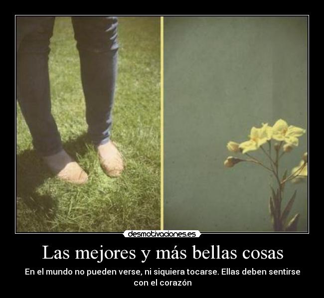 Las mejores y más bellas cosas - En el mundo no pueden verse, ni siquiera tocarse. Ellas deben sentirse con el corazón