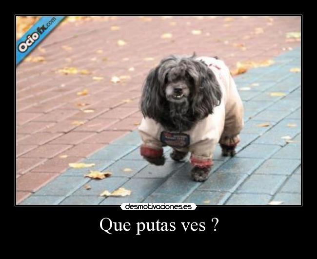 Que putas ves ? - 