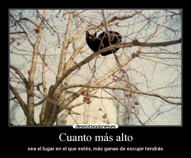 Cuanto más alto - sea el lugar en el que estés, más ganas de escupir tendrás.