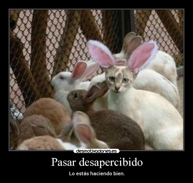 Pasar desapercibido -