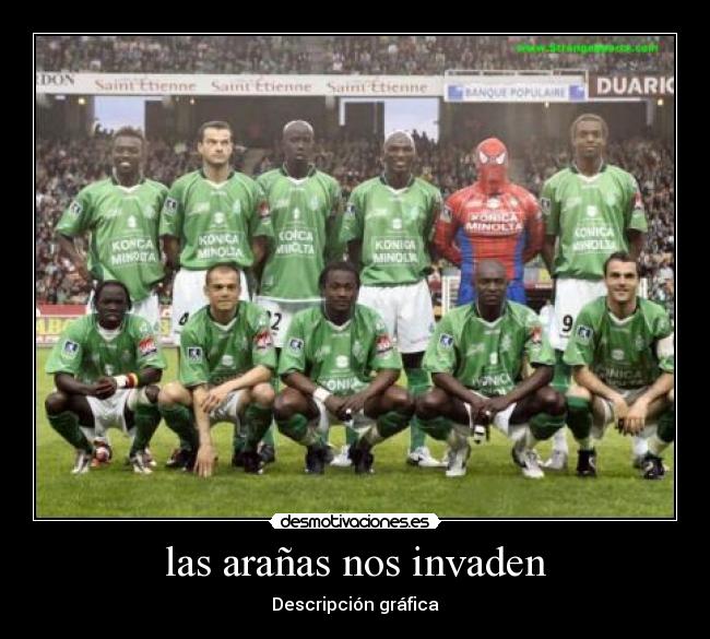 las arañas nos invaden - 