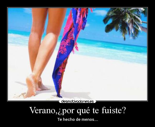 carteles verano desmotivaciones