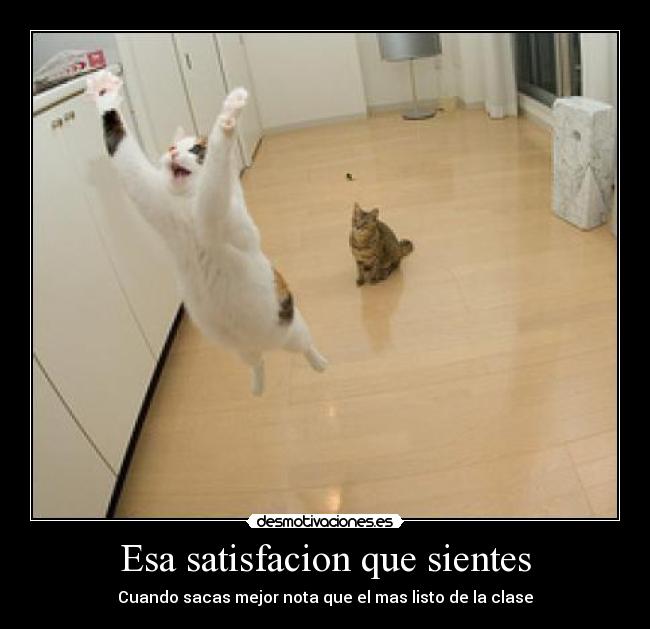 Esa satisfacion que sientes - Cuando sacas mejor nota que el mas listo de la clase