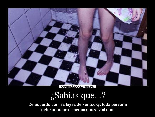 ¿Sabias que...? - 