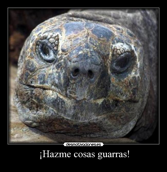 ¡Hazme cosas guarras! -