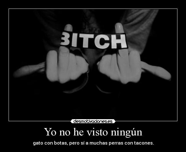 Yo no he visto ningún - gato con botas, pero sí a muchas perras con tacones.