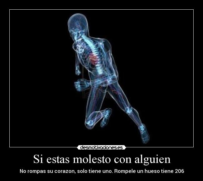 Si estas molesto con alguien - No rompas su corazon, solo tiene uno. Rompele un hueso tiene 206