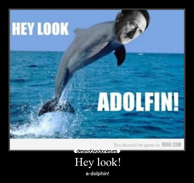 Hey look! - a-dolphin!