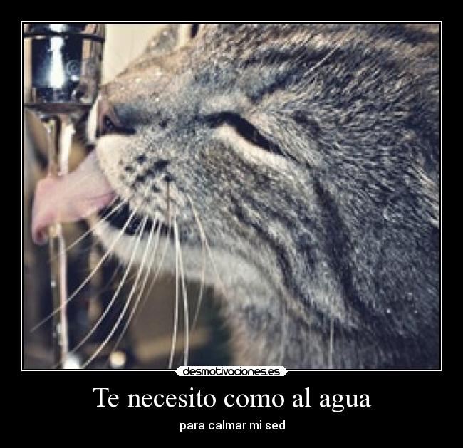 Te necesito como al agua - para calmar mi sed