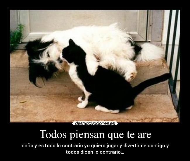 Todos piensan que te are - daño y es todo lo contrario yo quiero jugar y divertirme contigo y
todos dicen lo contrario...