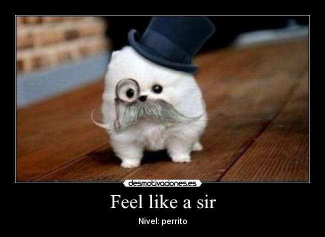 Feel like a sir - 