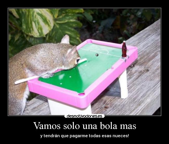 Vamos solo una bola mas - y tendrán que pagarme todas esas nueces!