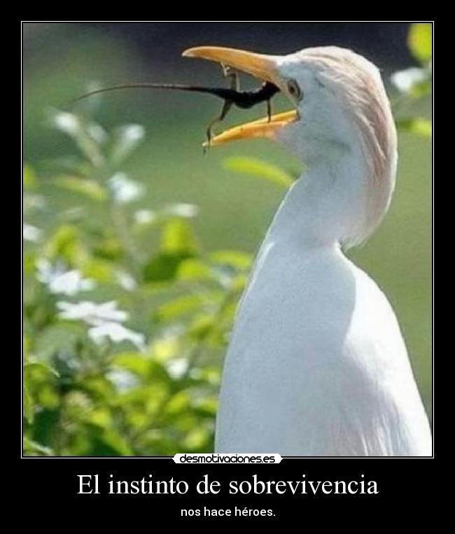 El instinto de sobrevivencia - nos hace héroes.