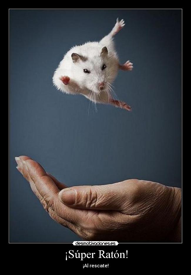 ¡Súper Ratón! - 