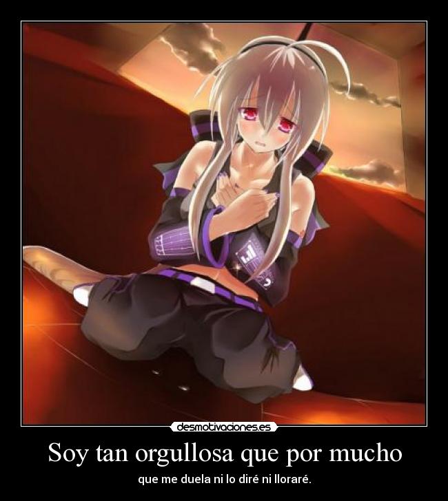 Soy tan orgullosa que por mucho - que me duela ni lo diré ni lloraré.