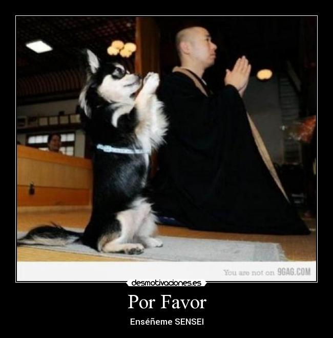 Por Favor - Enséñeme SENSEI