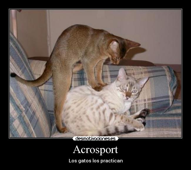 Acrosport - 