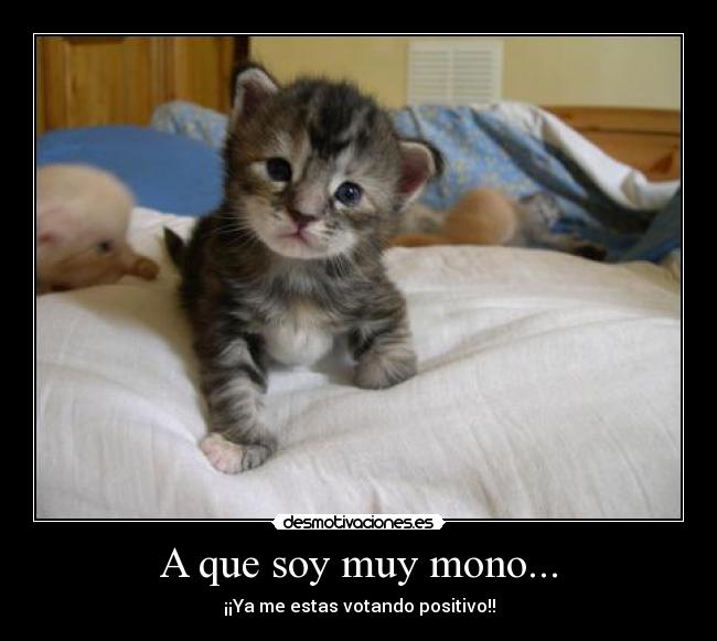 A que soy muy mono... -