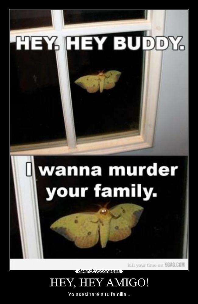 HEY, HEY AMIGO! - Yo asesinaré a tu familia...