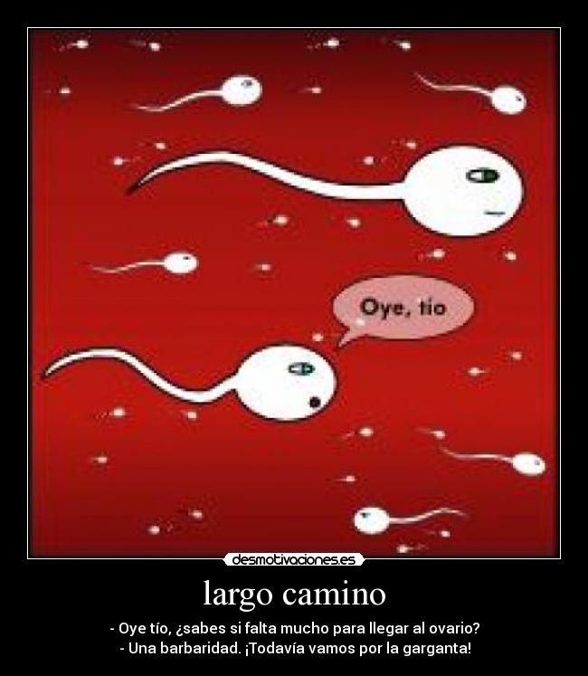 largo camino -