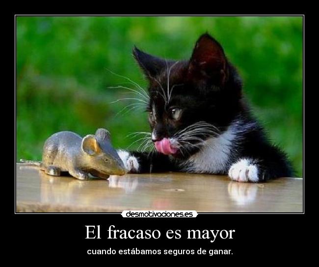 El fracaso es mayor - cuando estábamos seguros de ganar.