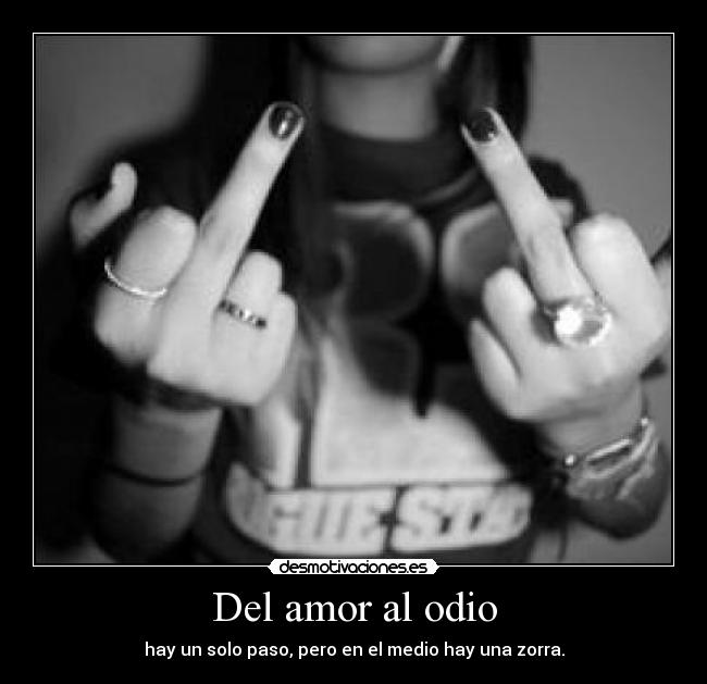 Del amor al odio - hay un solo paso, pero en el medio hay una zorra.