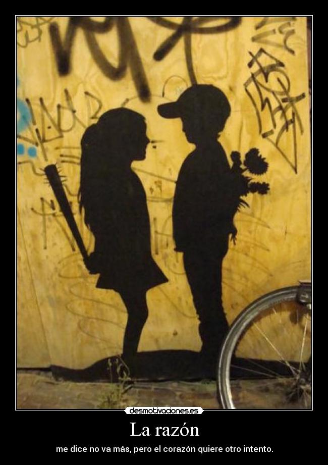 carteles disculpa parece raro desmotivaciones