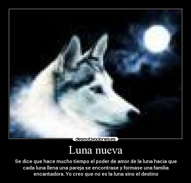 carteles luna nueva desmotivaciones