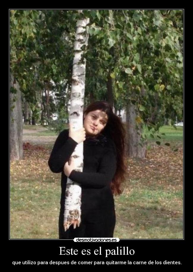 Este es el palillo - que utilizo para despues de comer para quitarme la carne de los dientes.