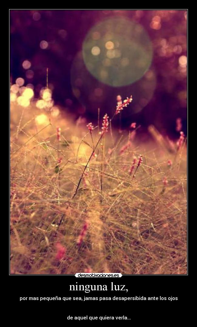 ninguna luz, - por mas pequeña que sea, jamas pasa desapersibida ante los ojos
de aquel que quiera verla...
