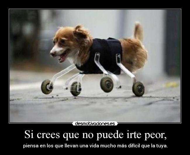 Si crees que no puede irte peor, - piensa en los que llevan una vida mucho más difícil que la tuya.