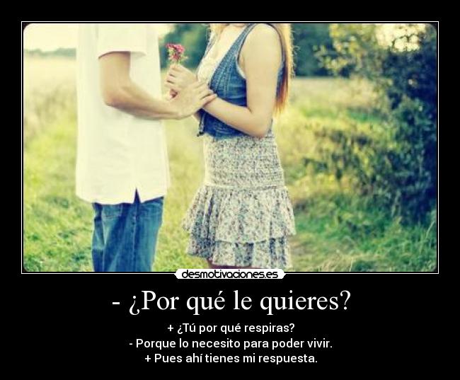 - ¿Por qué le quieres? - 
