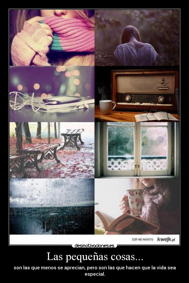 Las pequeñas cosas... - son las que menos se aprecian, pero son las que hacen que la vida sea especial.