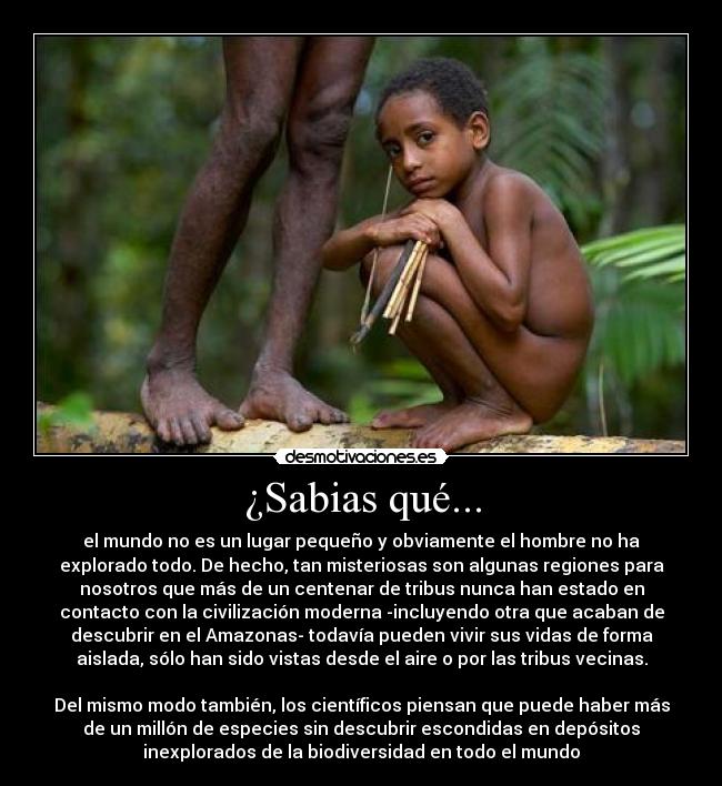 ¿Sabias qué... - 