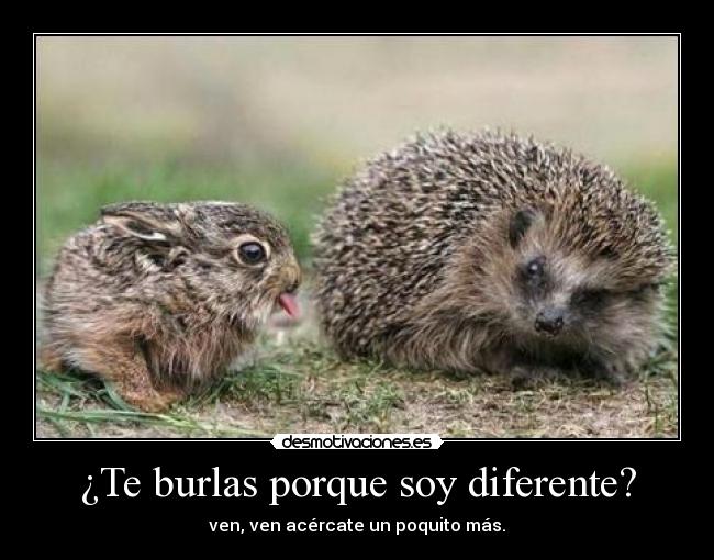 ¿Te burlas porque soy diferente? - 