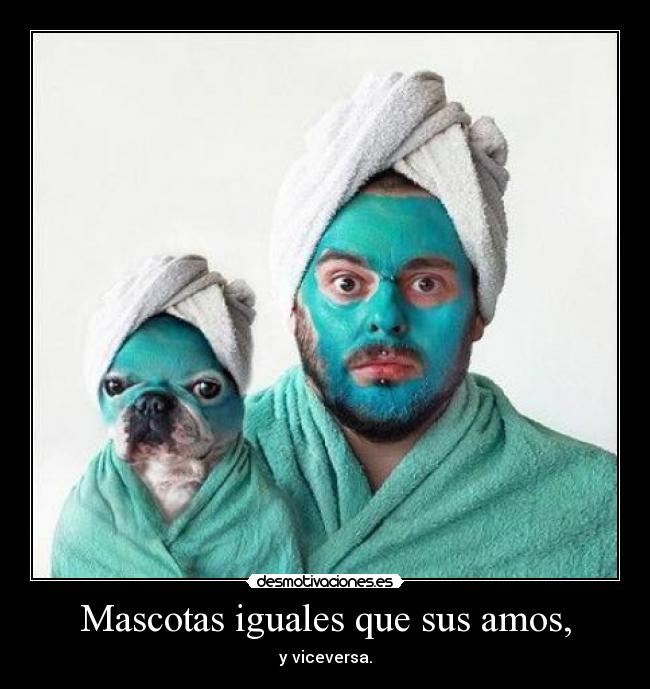 Mascotas iguales que sus amos, - y viceversa.