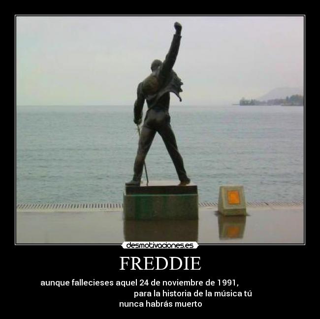 FREDDIE -