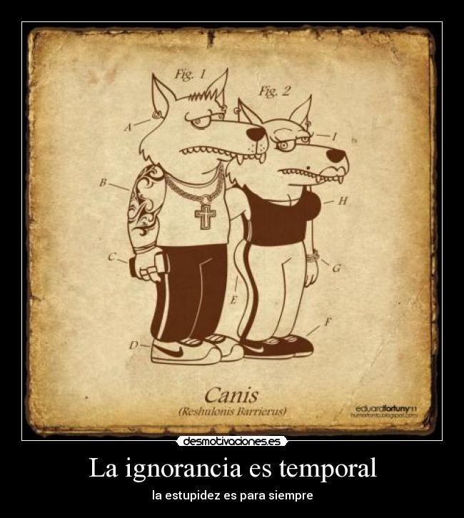 La ignorancia es temporal -