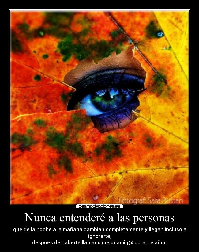 Nunca entenderé a las personas -