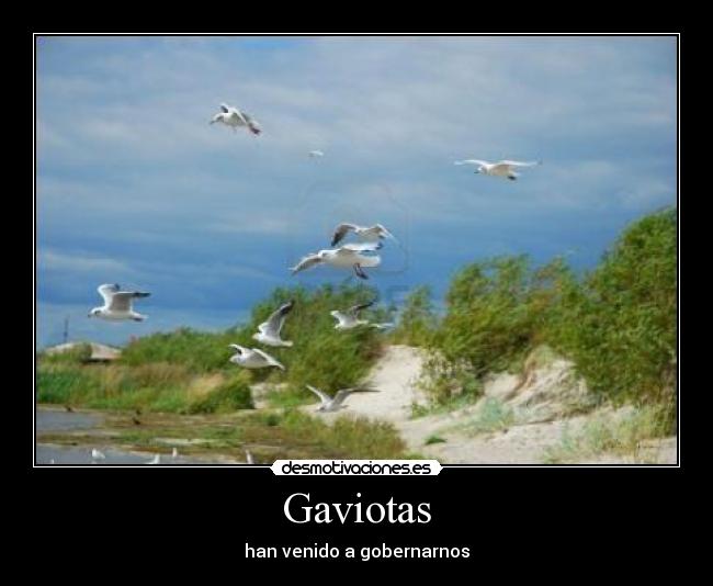 Gaviotas - han venido a gobernarnos