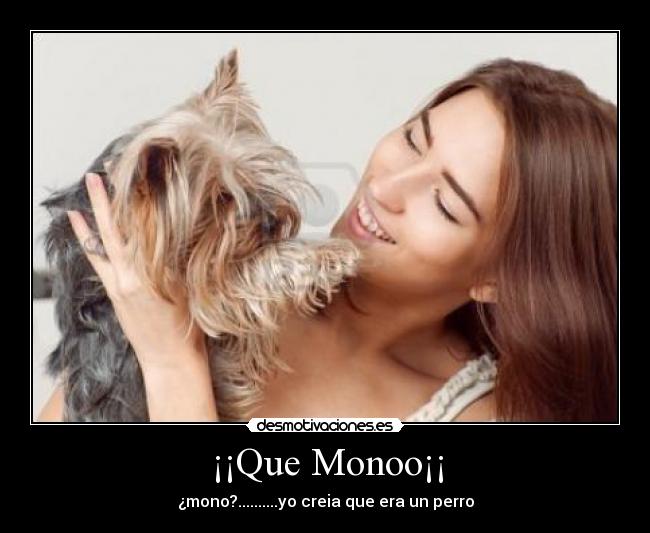 ¡¡Que Monoo¡¡ -