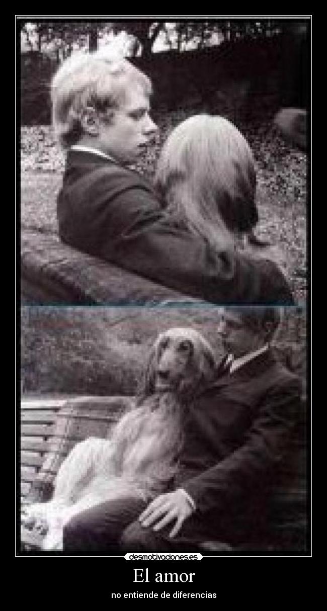 El amor - no entiende de diferencias