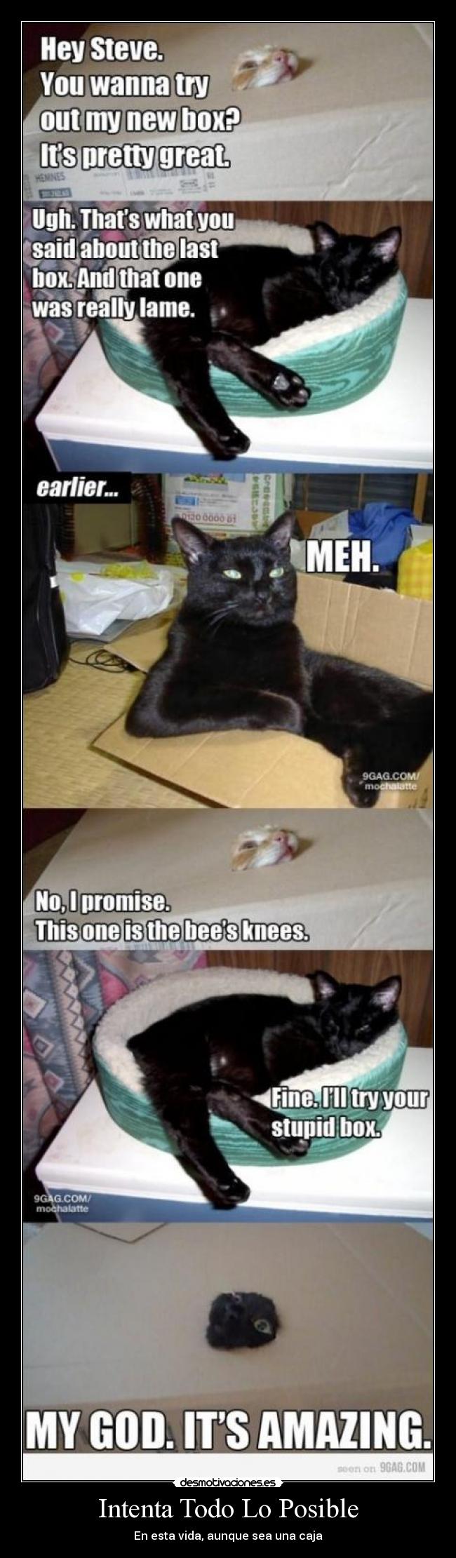 Intenta Todo Lo Posible - En esta vida, aunque sea una caja