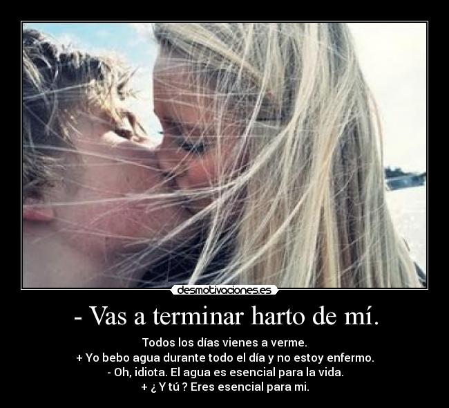 carteles lauraloveellas desmotivaciones